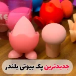 پک بیوتی بلندر استند دار دو عددی